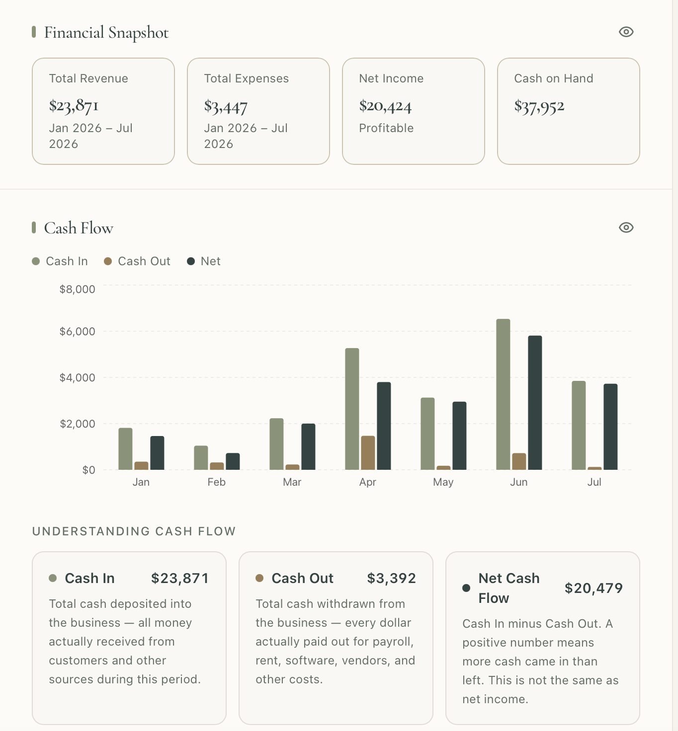Financial snapshot and cash flow
